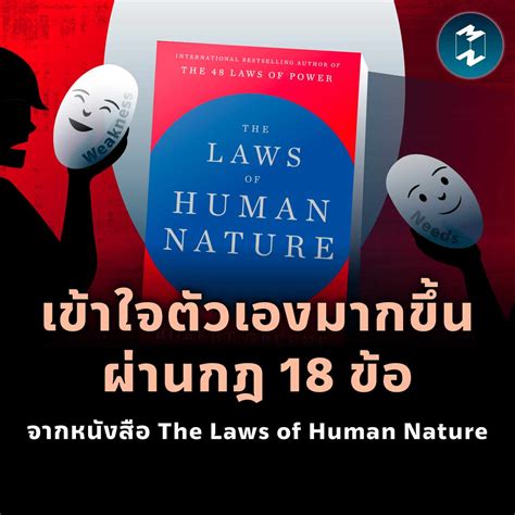 讲究 แปล